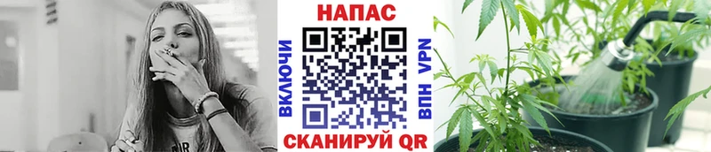 Где можно купить наркотики Каменногорск A-PVP  АМФ  ГАШИШ  Конопля  Codein  мега онион  Кокаин  Меф 