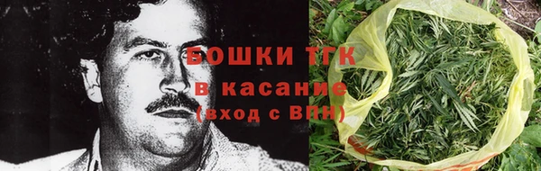 стаф Володарск