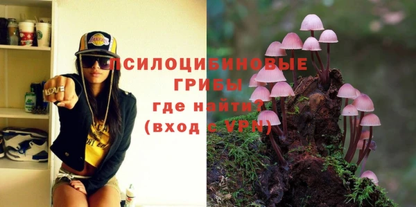 стаф Володарск